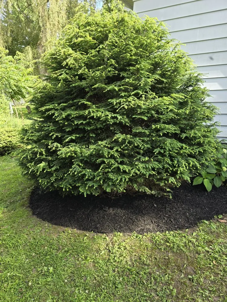 Custom garden landscaping experts serving Lisbon, NY - Tidy Homes & Trimmed Lawns