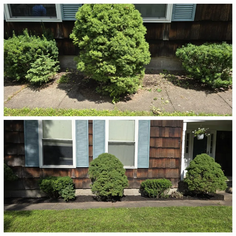 Top-rated yard maintenance near you in Lisbon, NY by Tidy Homes & Trimmed Lawns
