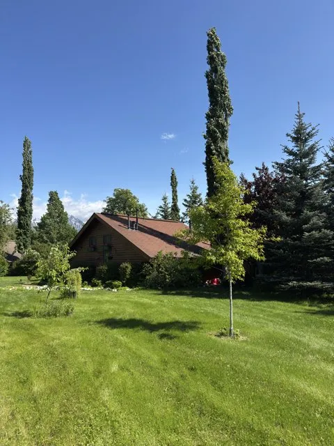 Custom landscaping services in Wasilla, AK by Tidy Homes And Lawns