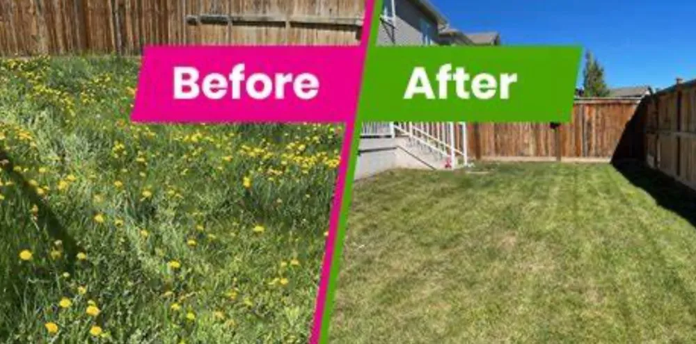 Custom landscape installation for outdoor upgrades across Wasilla, AK - Tidy Homes And Lawns