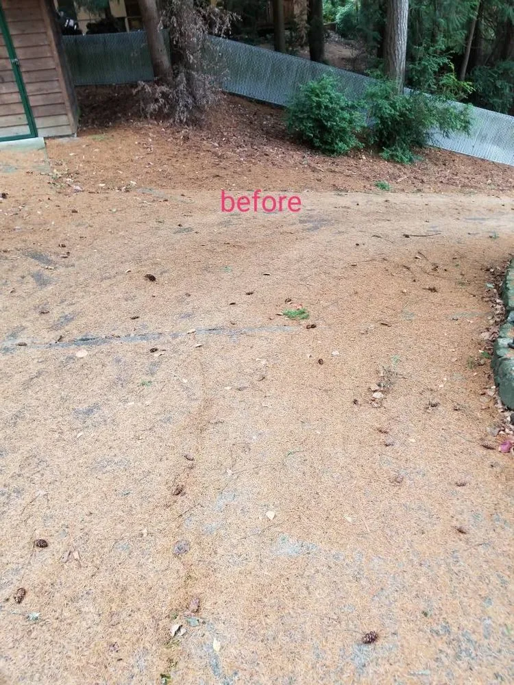 Professional lawn care service in Bremerton, WA by Tidy Lawn & Landscaping