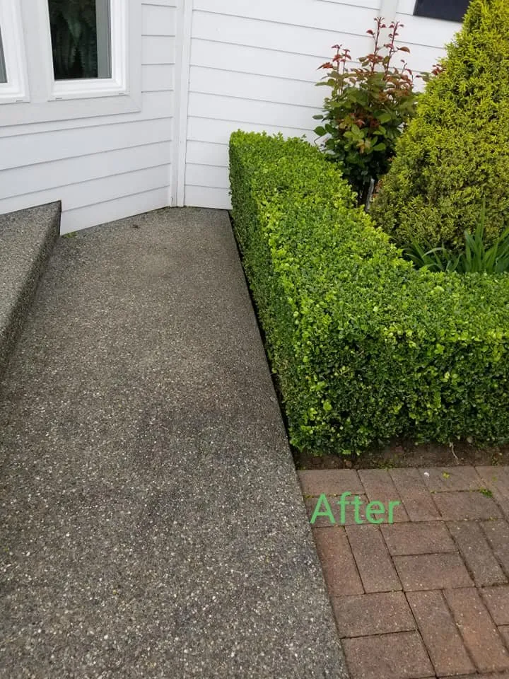 Trusted outdoor landscaping experts serving Bremerton, WA - Tidy Lawn & Landscaping