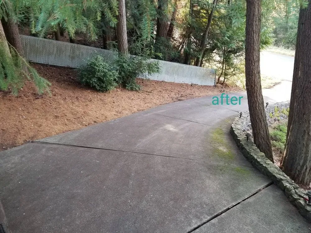 Expert landscape installation experts serving Bremerton, WA - Tidy Lawn & Landscaping
