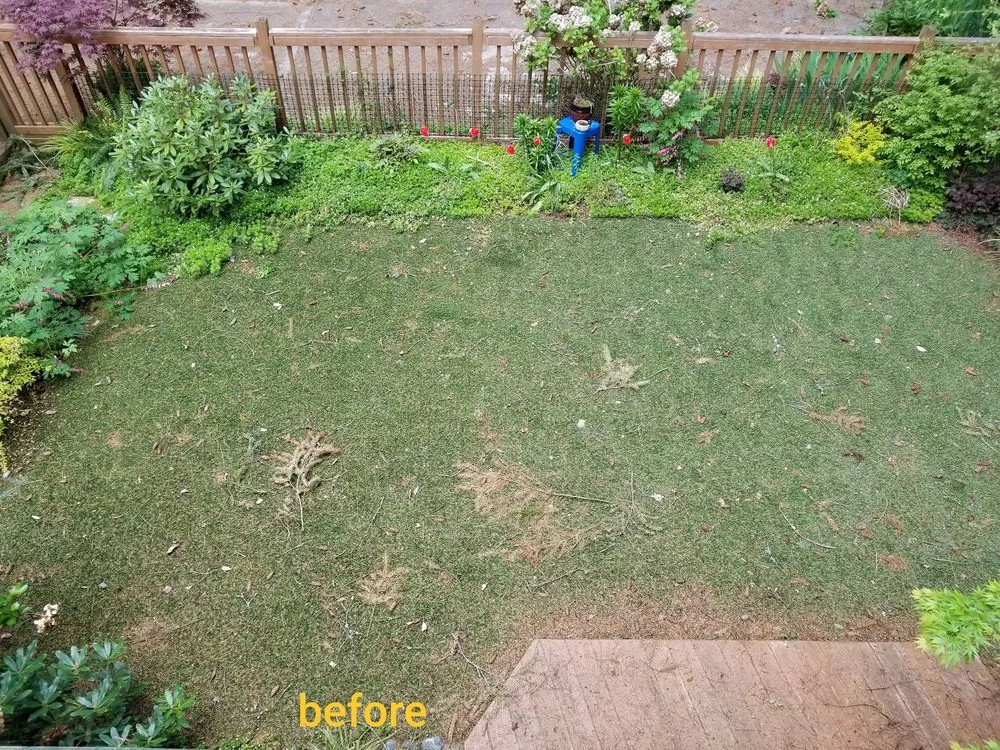 Top-rated garden landscaping near you across Bremerton, WA - Tidy Lawn & Landscaping