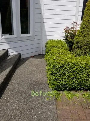 Tidy Lawn & Landscaping Logo