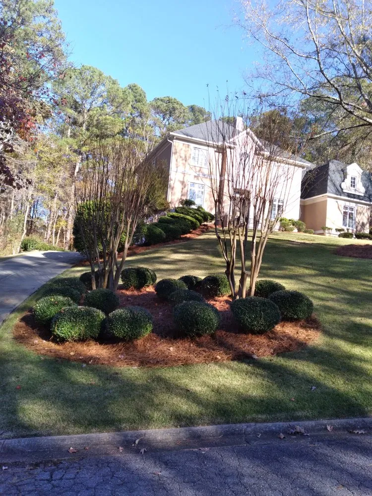 Local landscaping services in Blythewood, SC by Tidy Lawn Care
