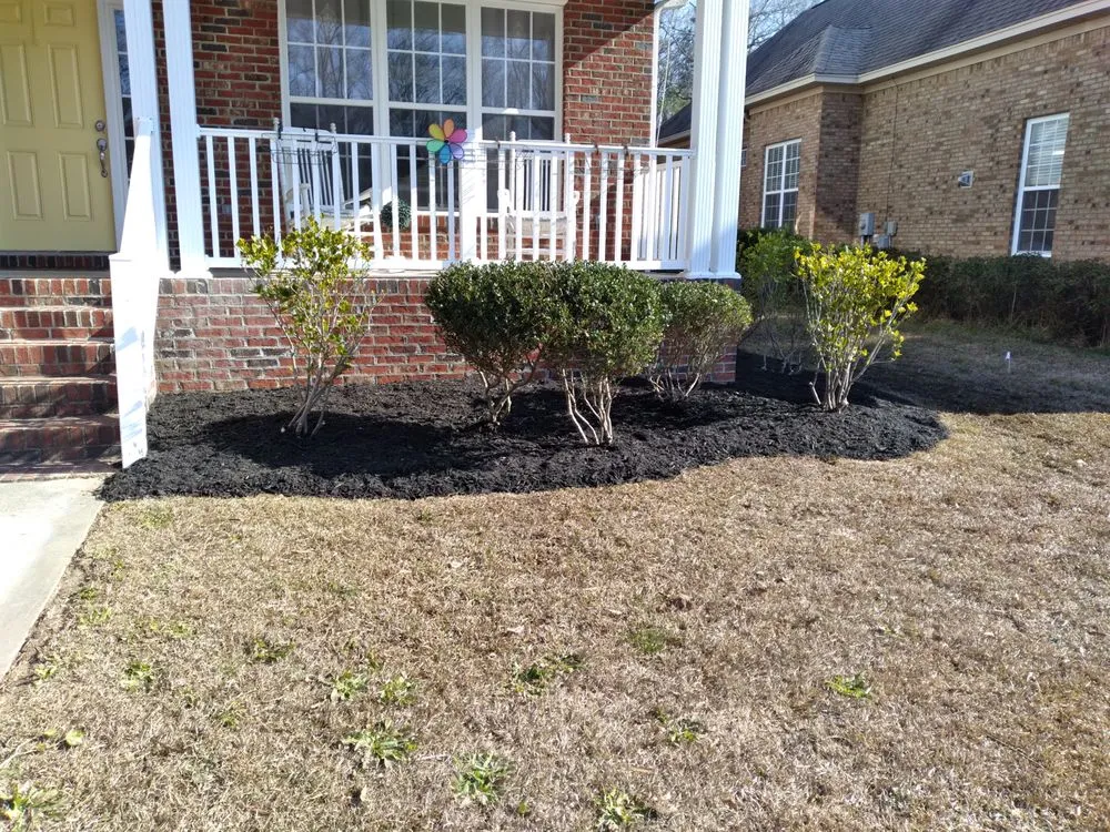 Trusted landscape design experts serving Blythewood, SC - Tidy Lawn Care