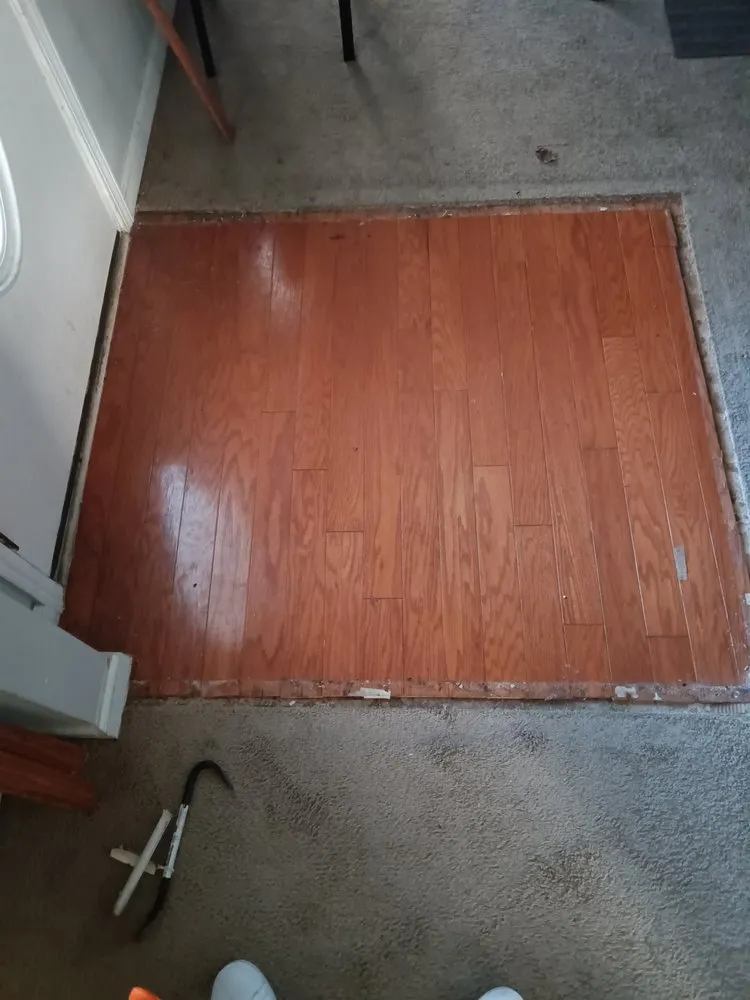 Expert yard cleanup service in Lithonia, GA - Tidy Quarters