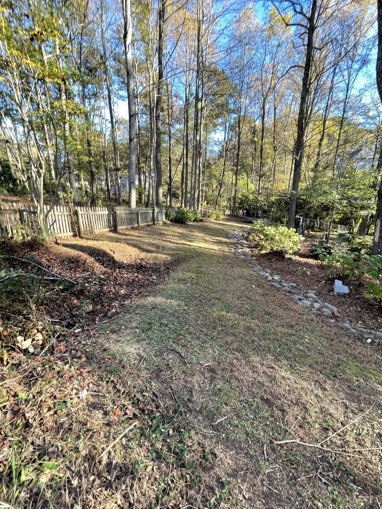 Top-rated landscape design in Dacula, GA - Tidy scapes