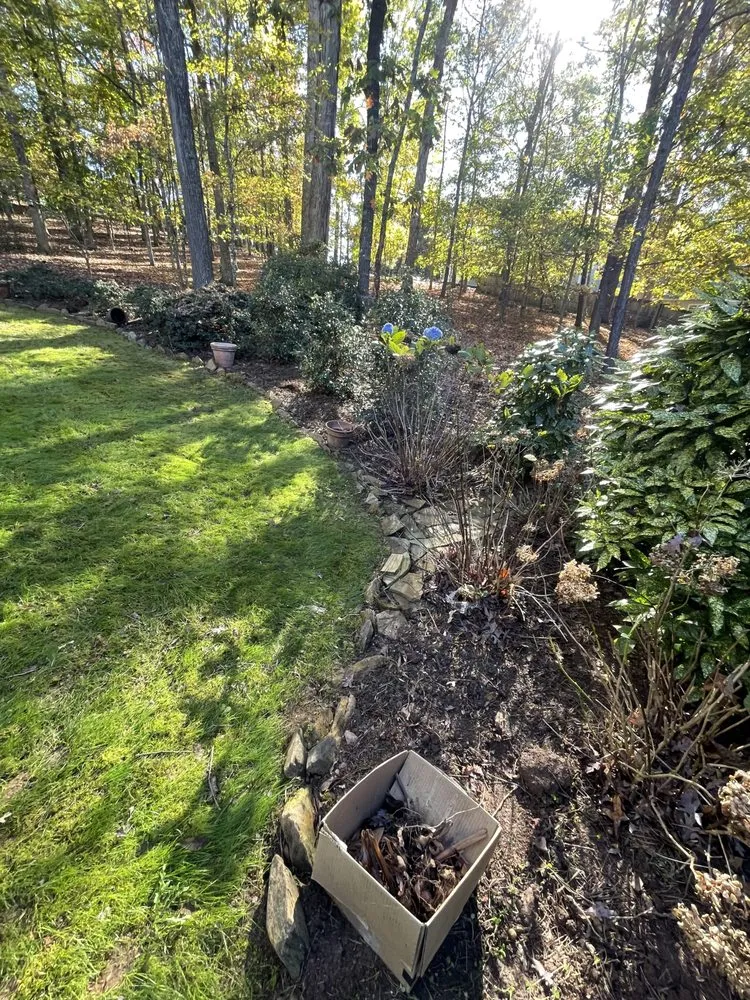 Affordable garden landscaping near you across Dacula, GA - Tidy scapes