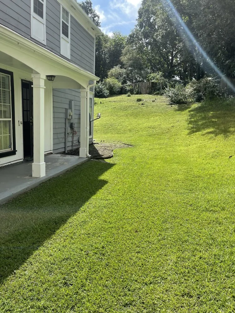 Professional yard cleanup service for homes across Dacula, GA - Tidy scapes