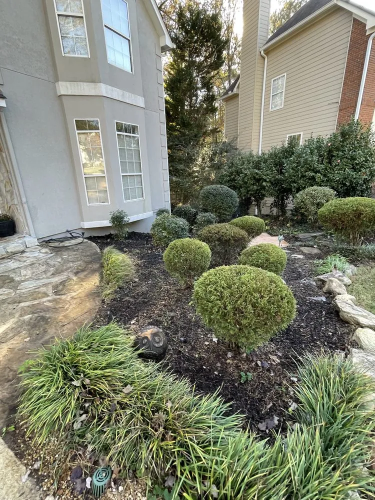 Top-rated yard cleanup service experts serving Dacula, GA - Tidy scapes