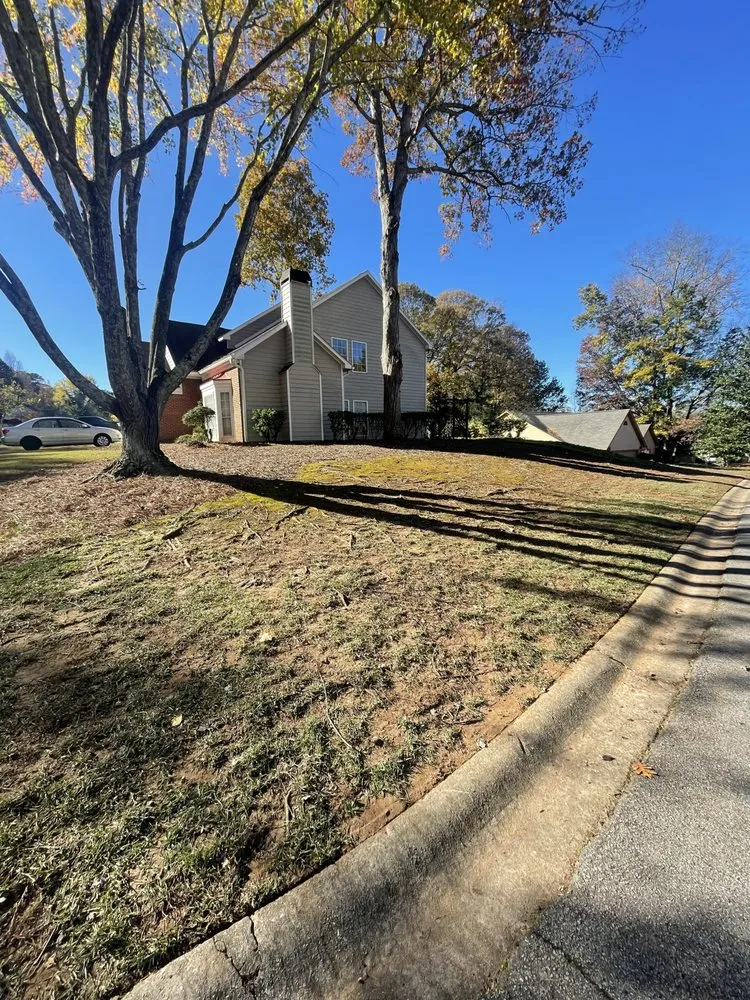 Local residential landscaping for beautiful yards in Dacula, GA by Tidy scapes