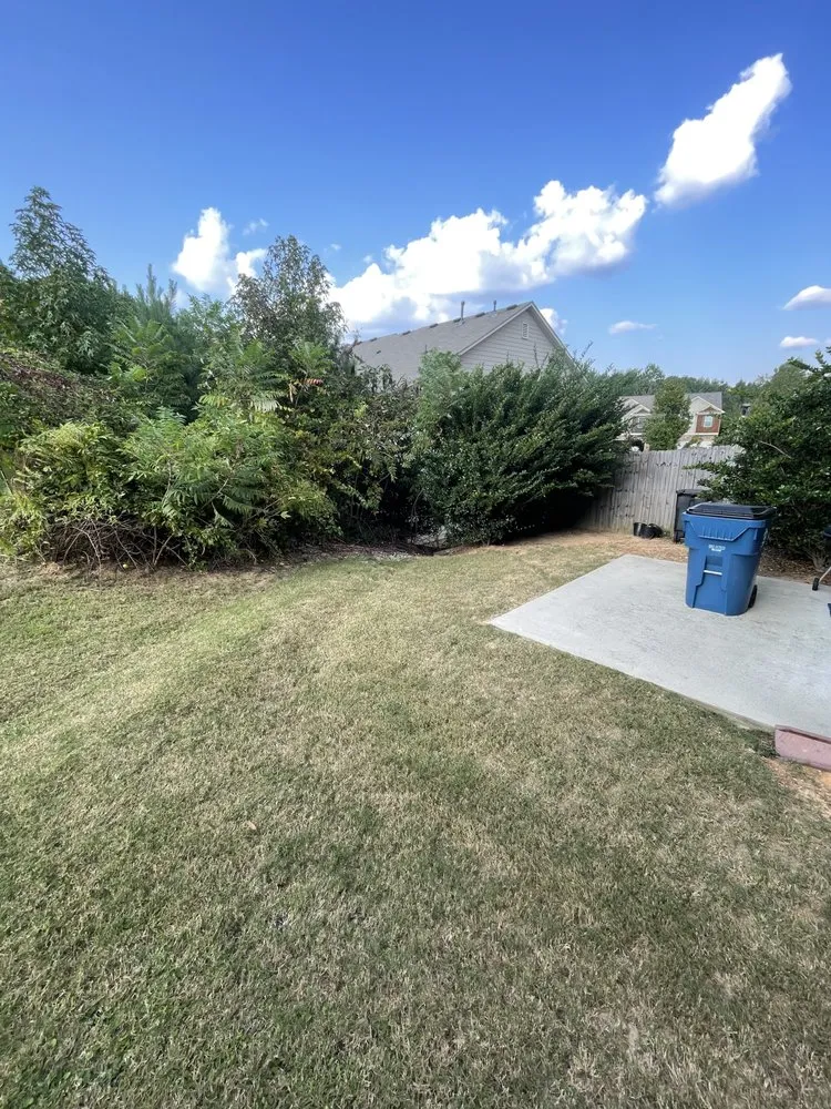 Reliable yard cleanup service near you in Dacula, GA by Tidy scapes