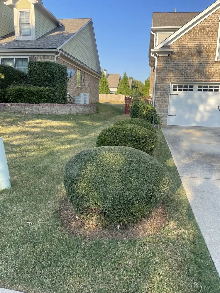 Expert yard cleanup service near you in Dacula, GA by Tidy scapes