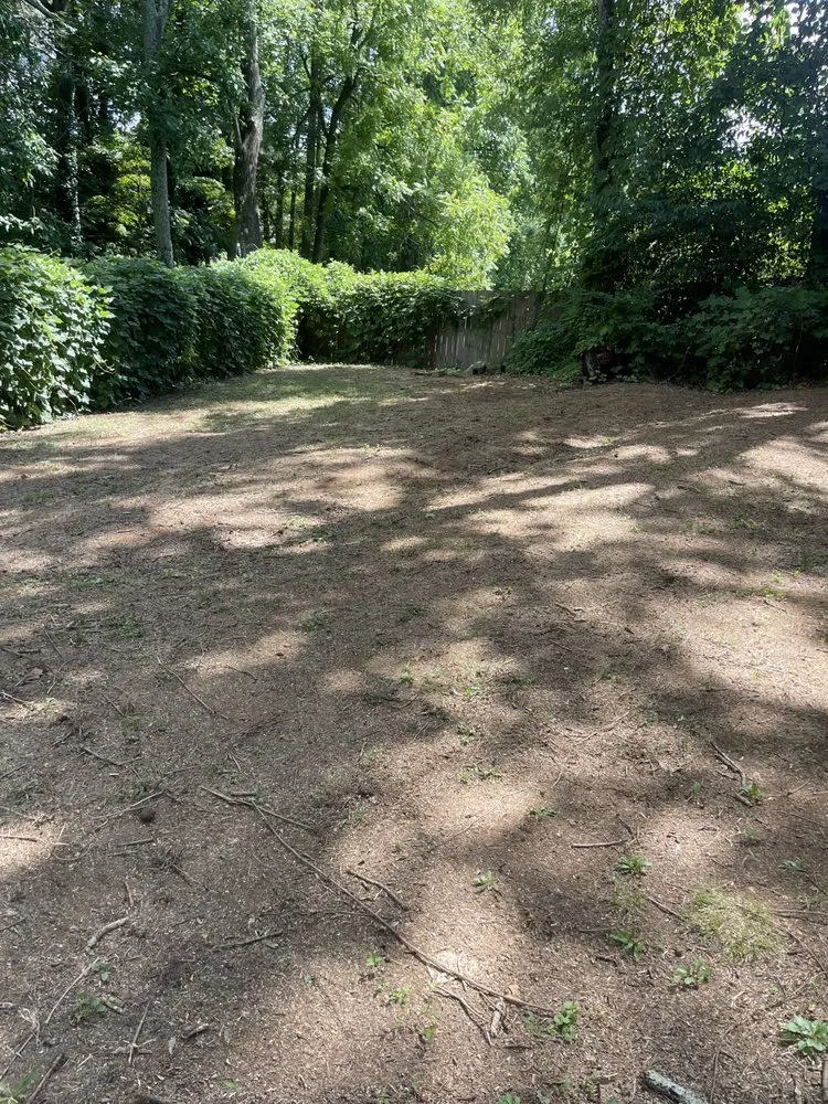 Reliable residential landscaping for residential properties across Dacula, GA - Tidy scapes