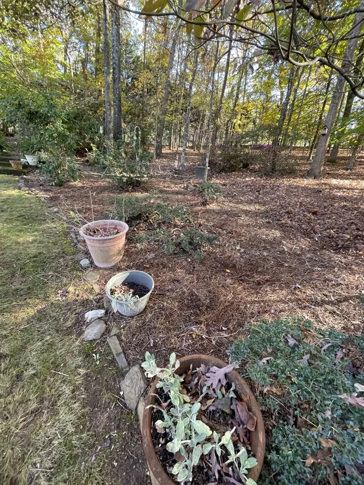 Professional outdoor landscaping in Dacula, GA by Tidy scapes