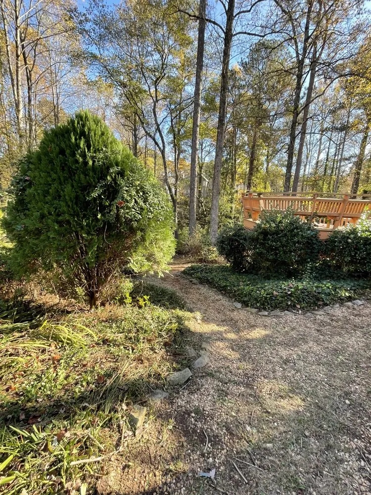 Local landscape design in Dacula, GA - Tidy scapes