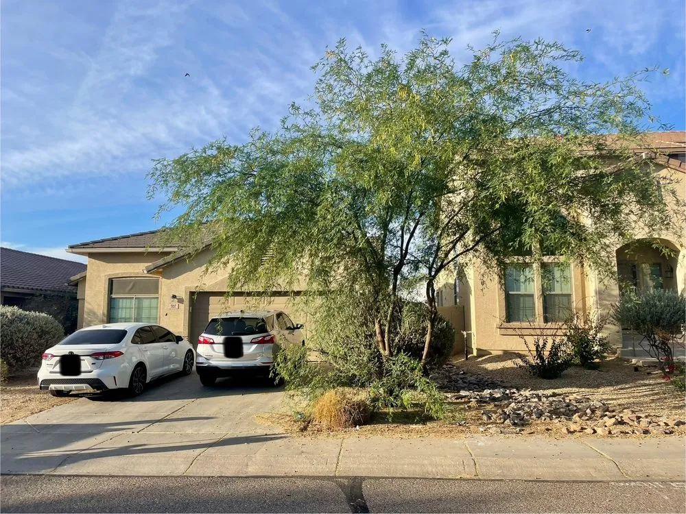 Trusted lawn care service experts serving San Tan, AZ - Tidy Tortoise Landscaping