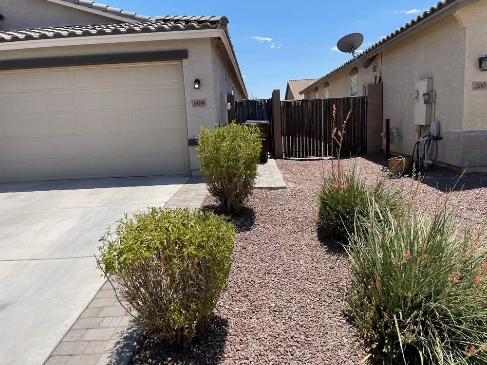 Expert landscape design in San Tan, AZ by Tidy Tortoise Landscaping