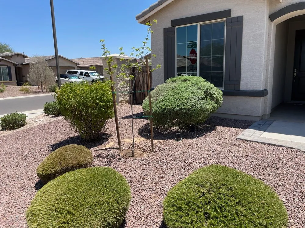 Local outdoor landscaping near you across San Tan, AZ - Tidy Tortoise Landscaping