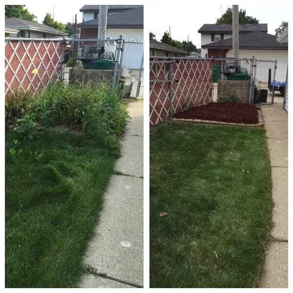 Expert yard maintenance in Glendale, WI by Tidy Trim Lawn Service