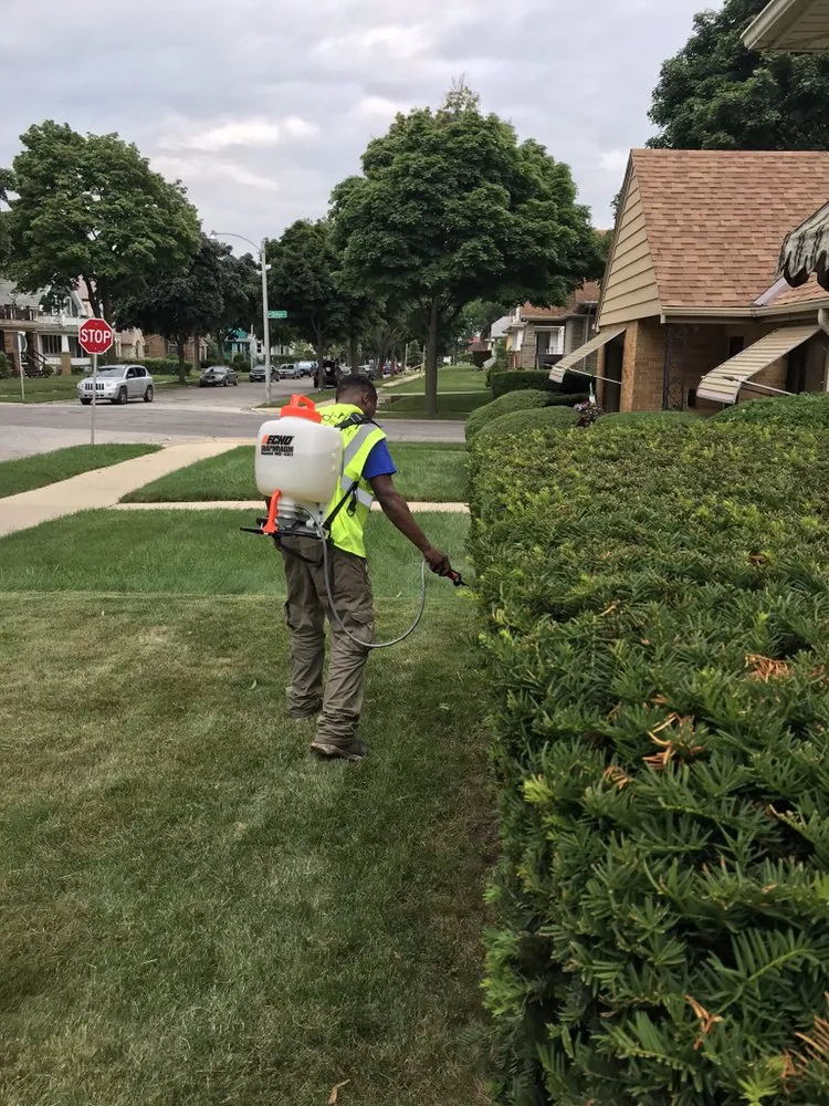 Local lawn mowing service in Glendale, WI by Tidy Trim Lawn Service