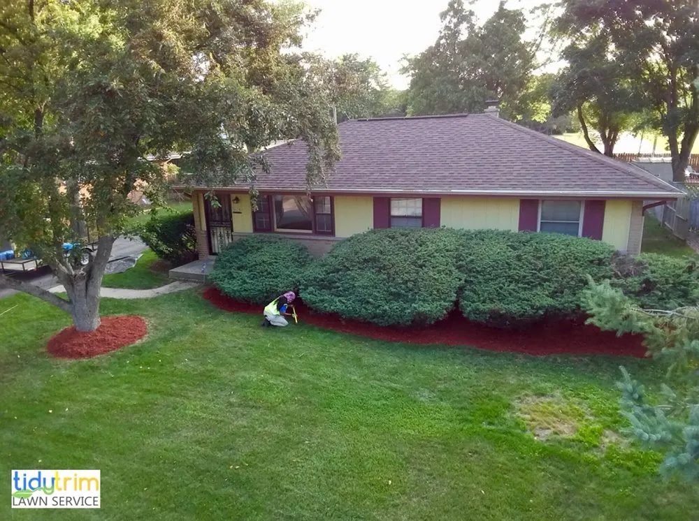 Professional residential landscaping in Glendale, WI by Tidy Trim Lawn Service