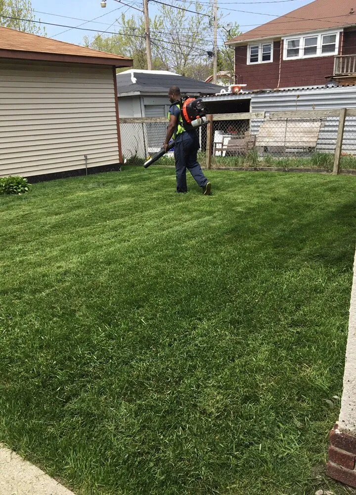 Local lawn mowing service in Glendale, WI - Tidy Trim Lawn Service