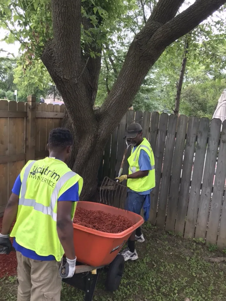 Expert landscaping services in Glendale, WI by Tidy Trim Lawn Service