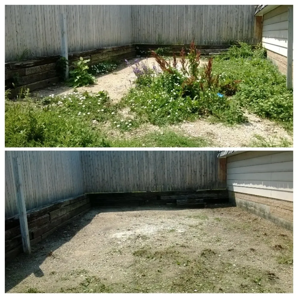 Trusted residential landscaping in Glendale, WI by Tidy Trim Lawn Service