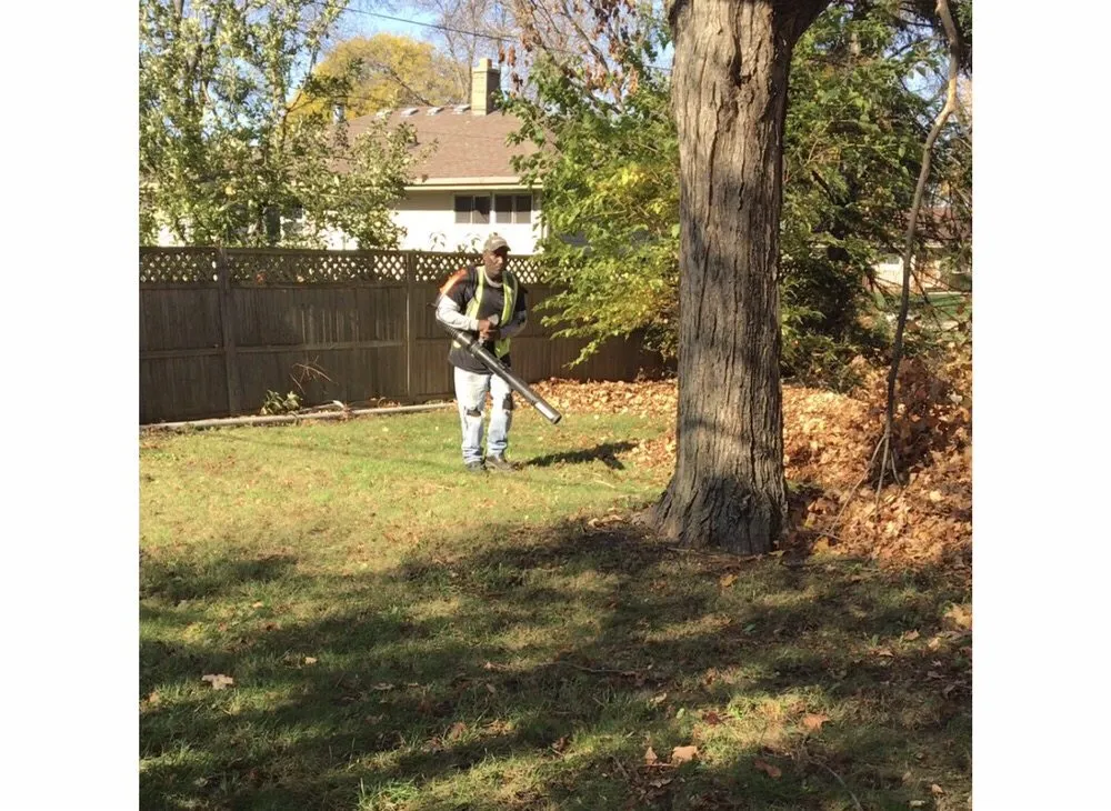 Professional yard maintenance for year-round maintenance across Glendale, WI - Tidy Trim Lawn Service