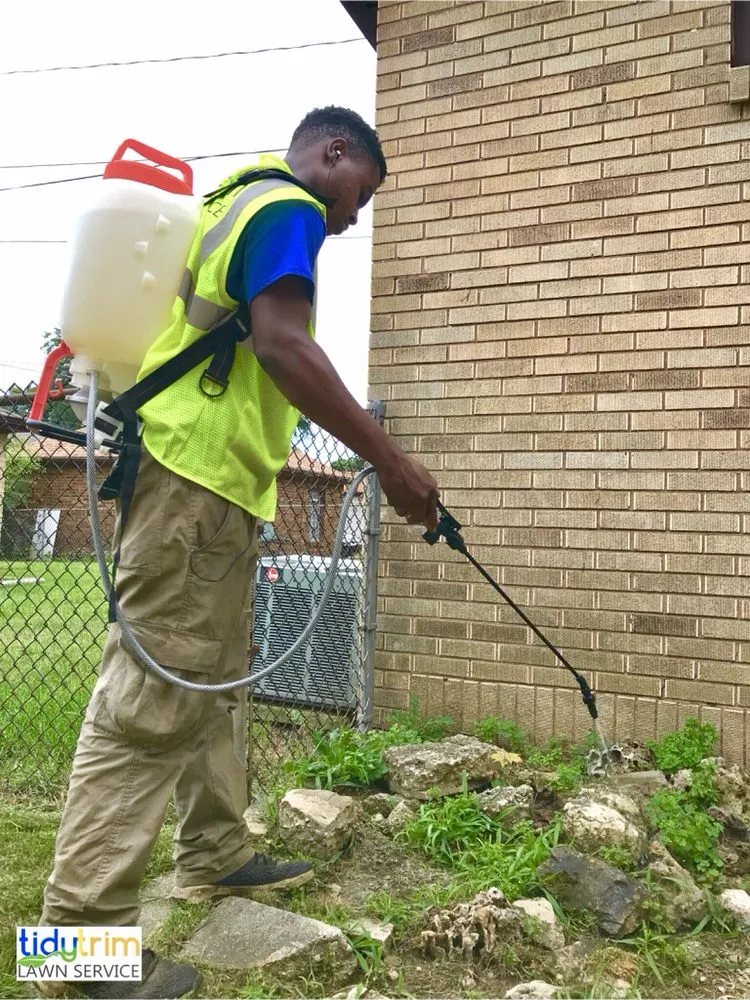 Professional lawn care service in Glendale, WI - Tidy Trim Lawn Service
