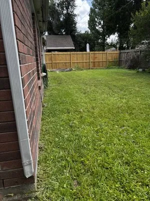 Tidy Turf Technician