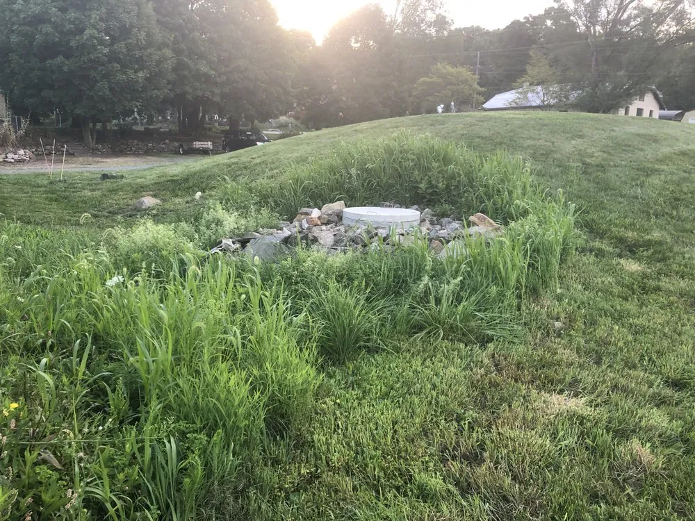 Professional lawn care service for beautiful yards across Barto, PA - Tidy Up Landscaping