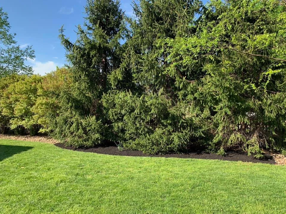 Expert outdoor landscaping in Barto, PA by Tidy Up Landscaping