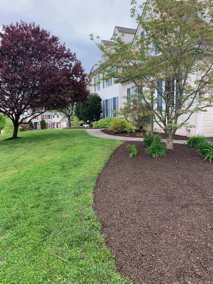 Trusted lawn mowing service for homes across Barto, PA - Tidy Up Landscaping