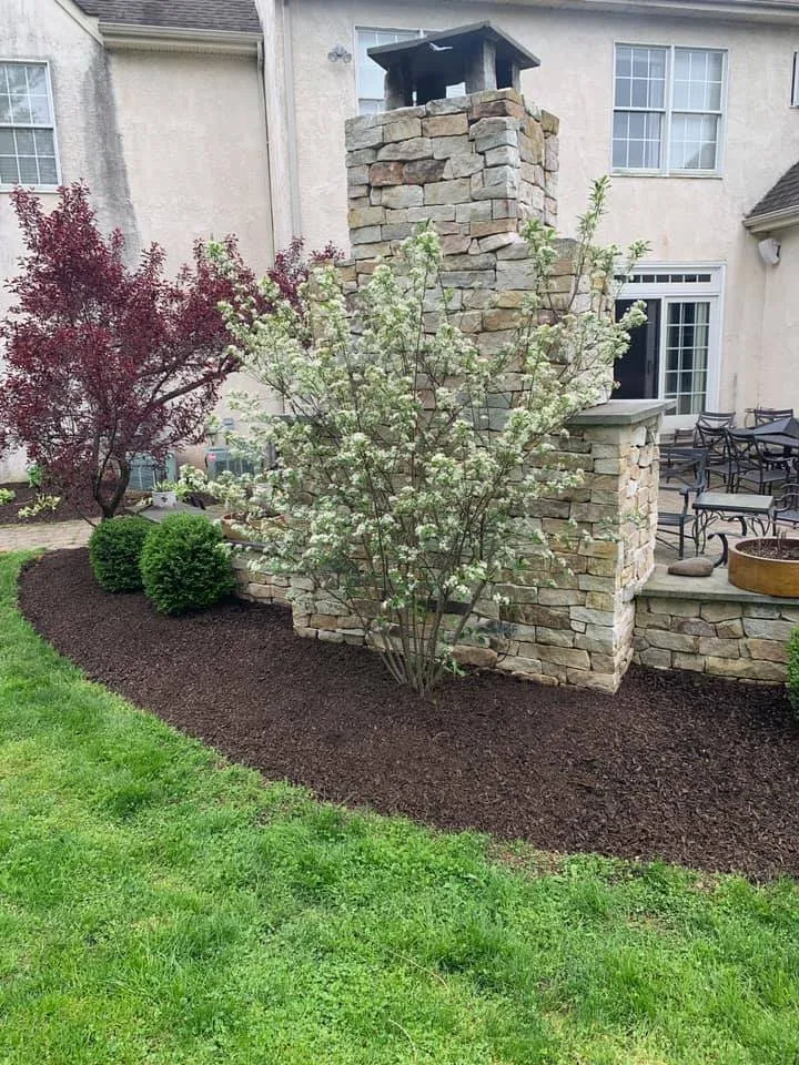 Expert lawn care service in Barto, PA - Tidy Up Landscaping
