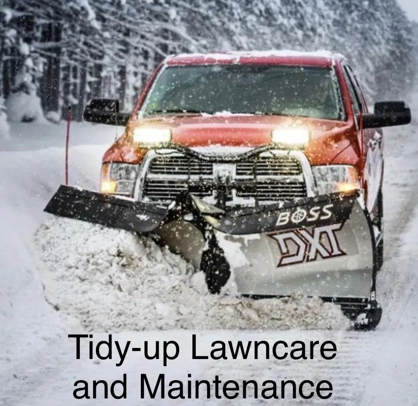 Trusted landscaping services for beautiful yards in Dubuque, IA by Tidy Up Lawncare and Maintenance