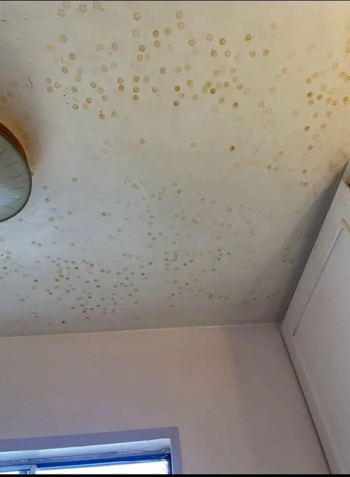 Trusted landscape installation in Cortez, CO - Tidy Up Services