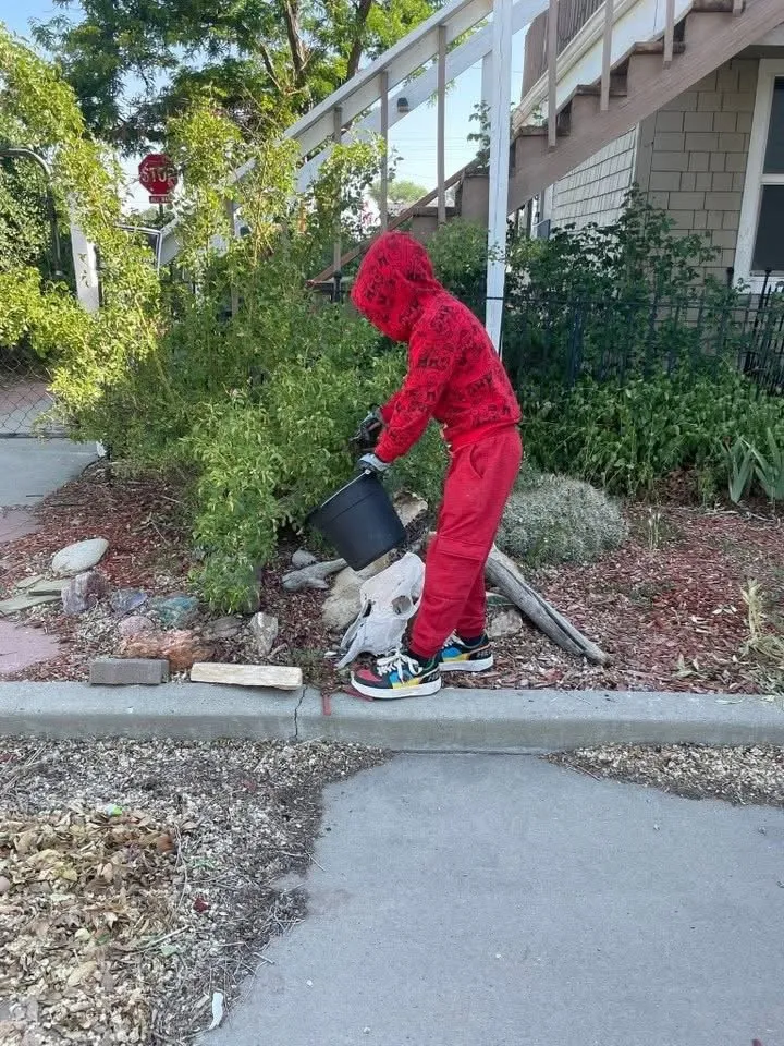 Top-rated garden landscaping for year-round maintenance across Cortez, CO - Tidy Up Services