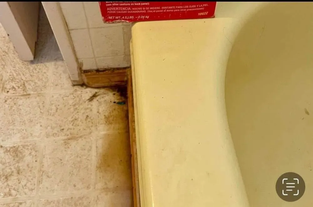 Reliable landscaping services in Cortez, CO - Tidy Up Services