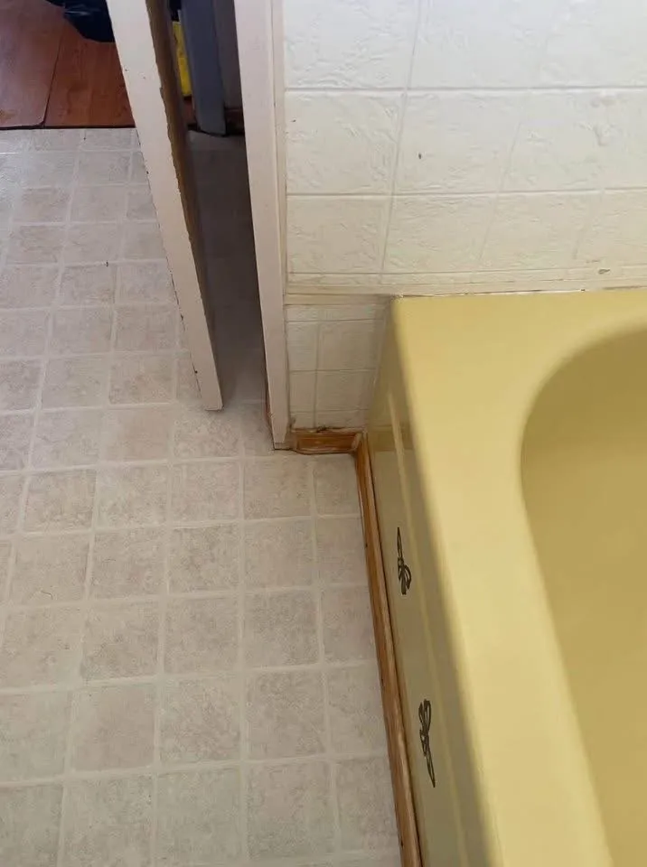 Reliable yard maintenance experts serving Cortez, CO - Tidy Up Services