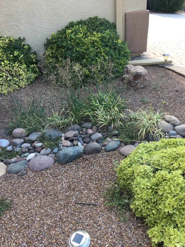 Reliable residential landscaping in Tucson, AZ by Tidy Up Yard
