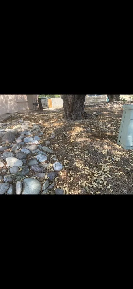 Trusted landscape design in Tucson, AZ by Tidy Up Yard