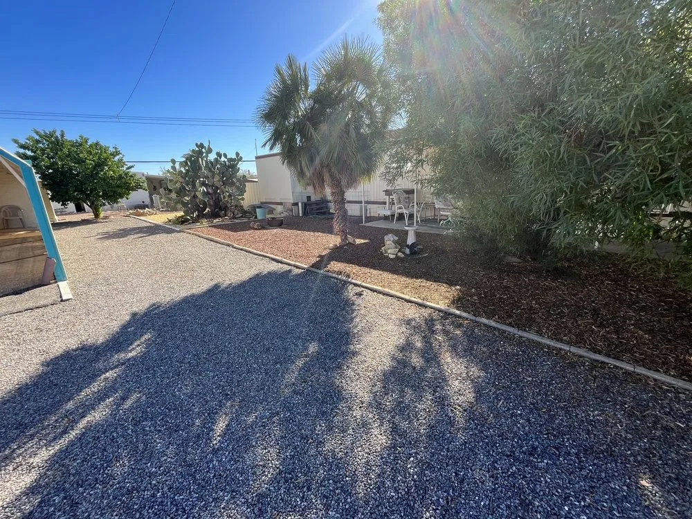 Expert yard cleanup service in Tucson, AZ - Tidy Up Yard