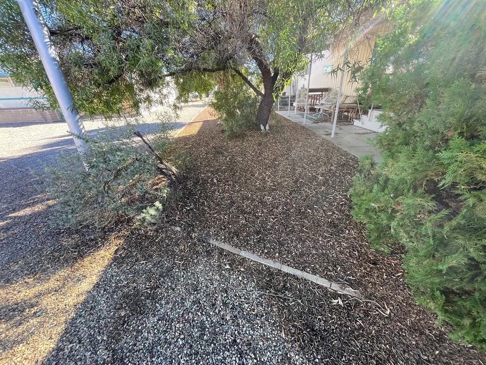 Local lawn care service in Tucson, AZ by Tidy Up Yard