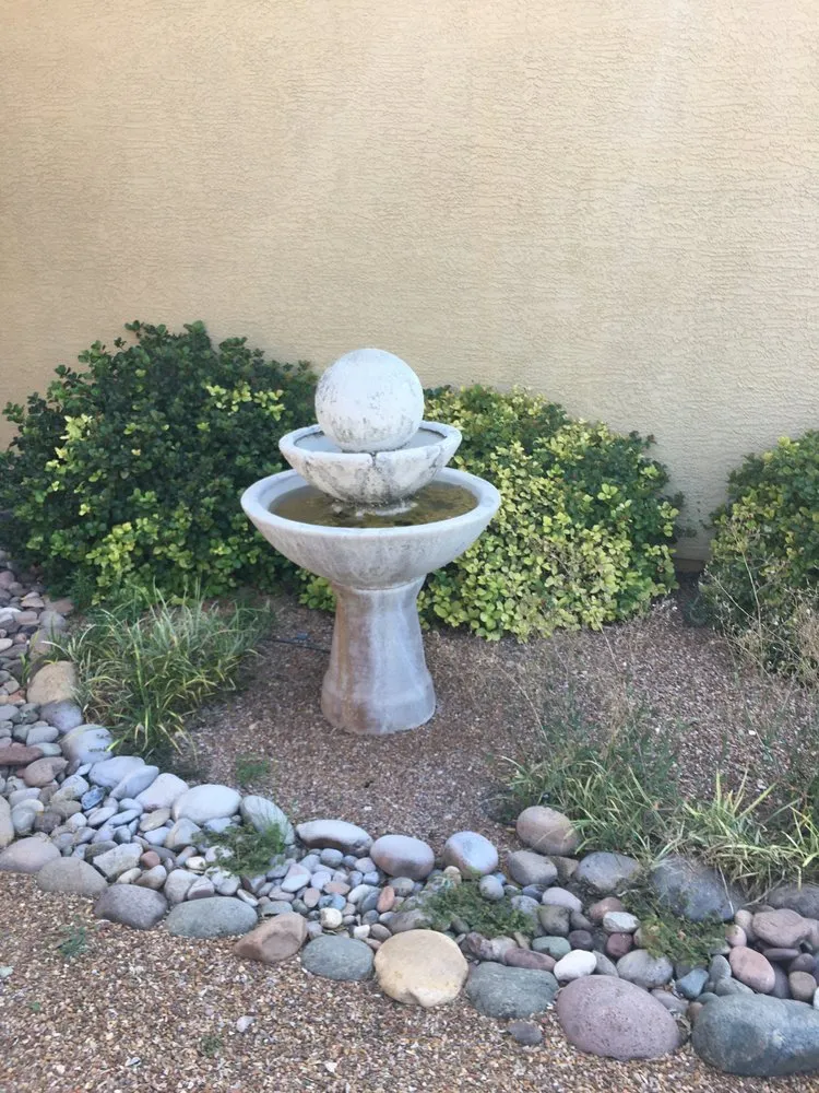 Top-rated yard cleanup service near you across Tucson, AZ - Tidy Up Yard