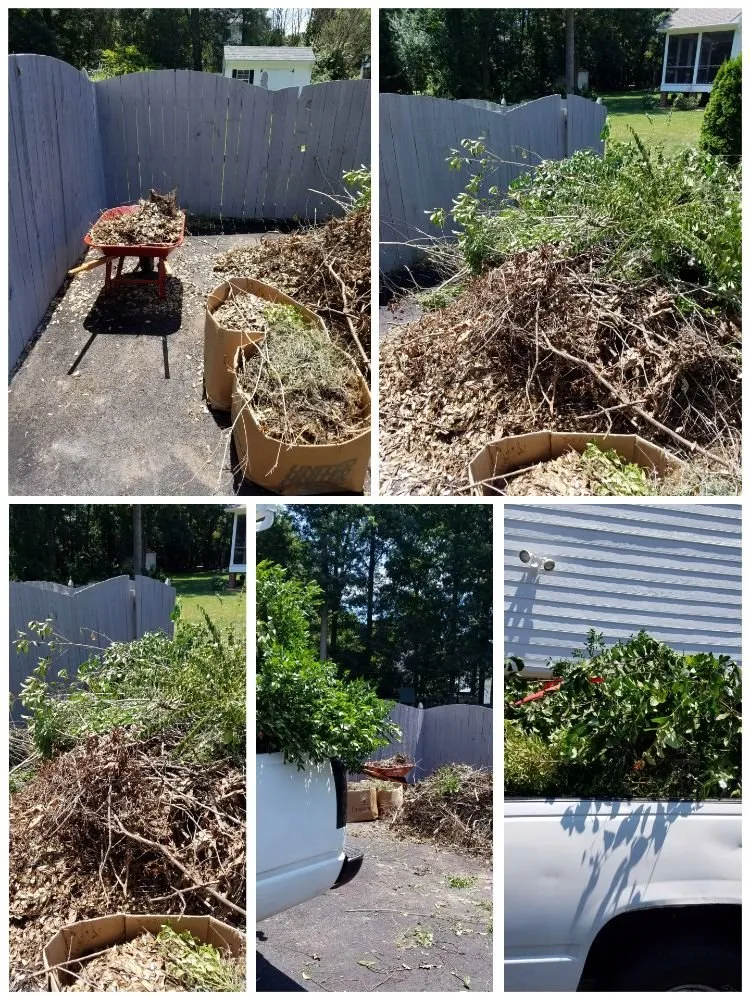 Professional landscaping services for beautiful yards in Richmond, VA by T.I.E. Transit