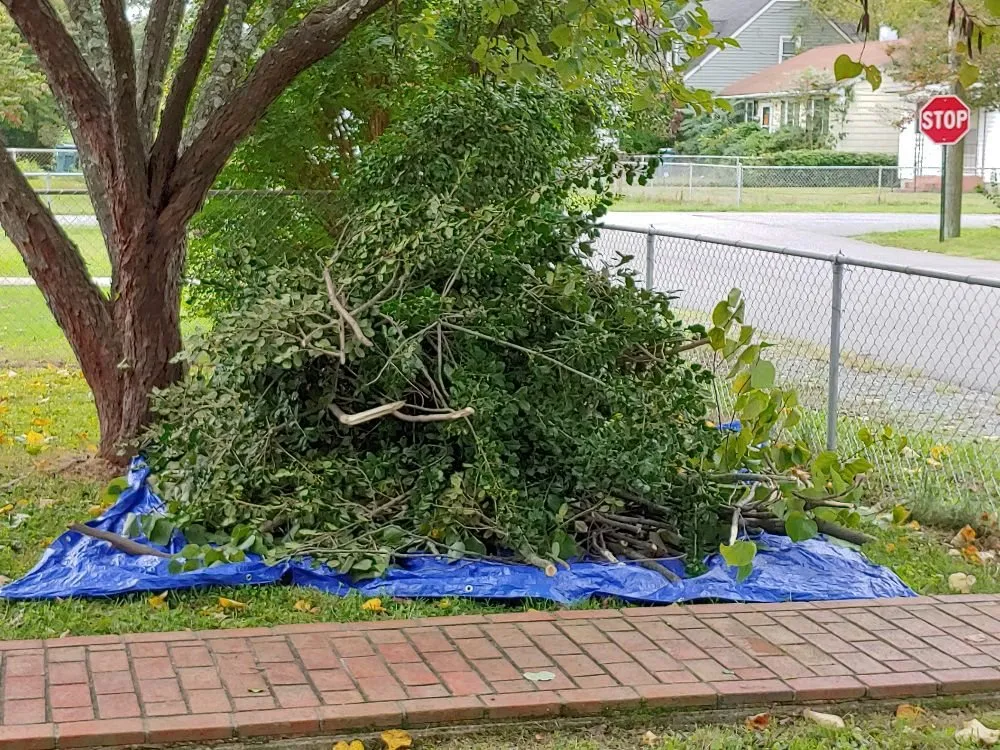 Custom lawn care service for residential properties in Richmond, VA by T.I.E. Transit